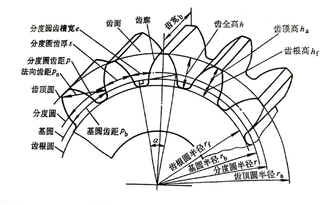 標(biāo)準(zhǔn)直齒輪外部結(jié)構(gòu)圖.jpg